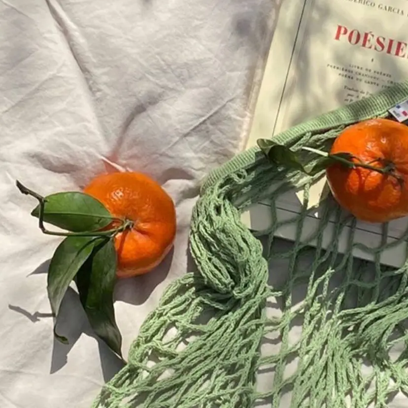 🍊 Rio🍊の掲載