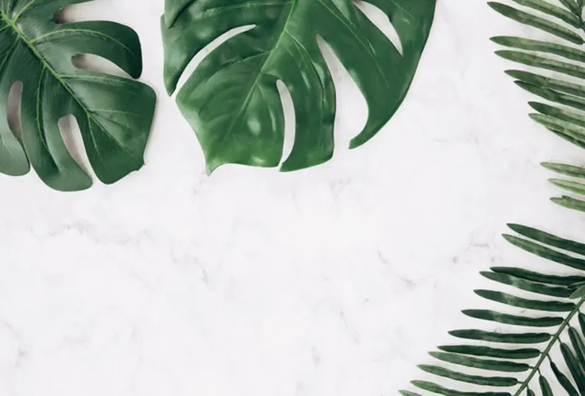 nail salon "a"の掲載