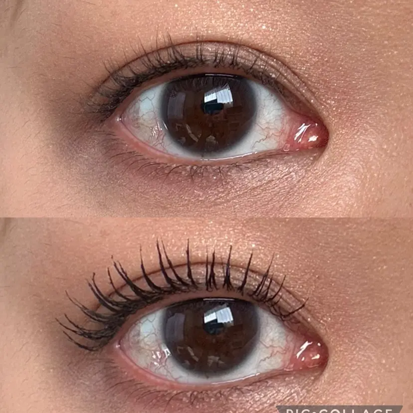 N ラッシュの掲載