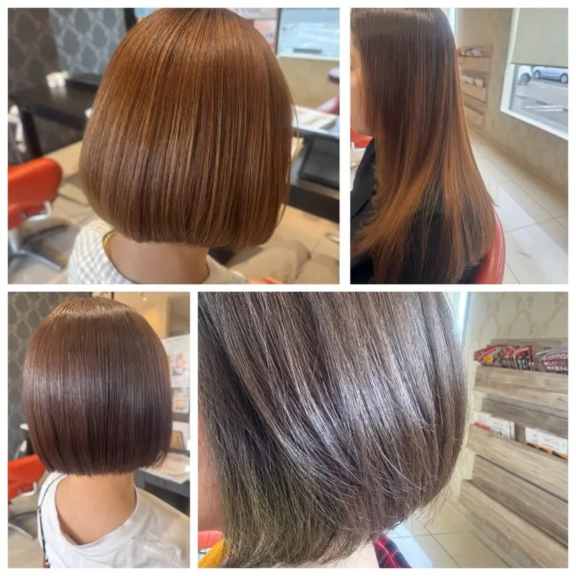 坂上 晴日の掲載