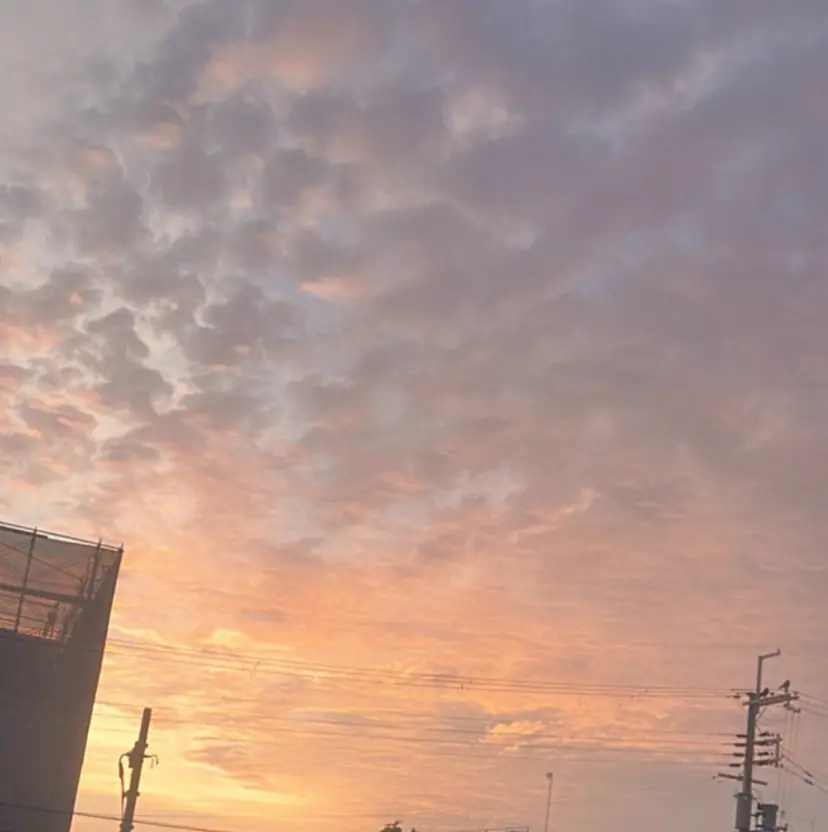 國友 亜純の掲載