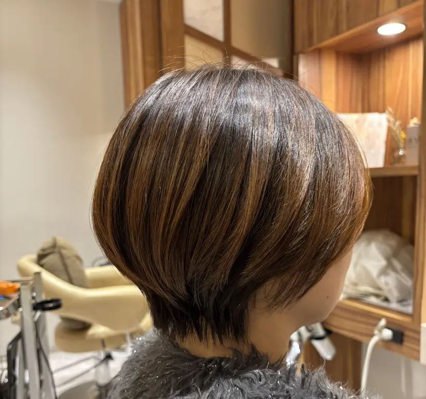 レディースショート 💥向川拓身💥の掲載