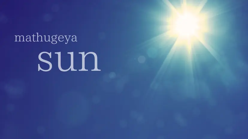 mathugeya SUNの掲載