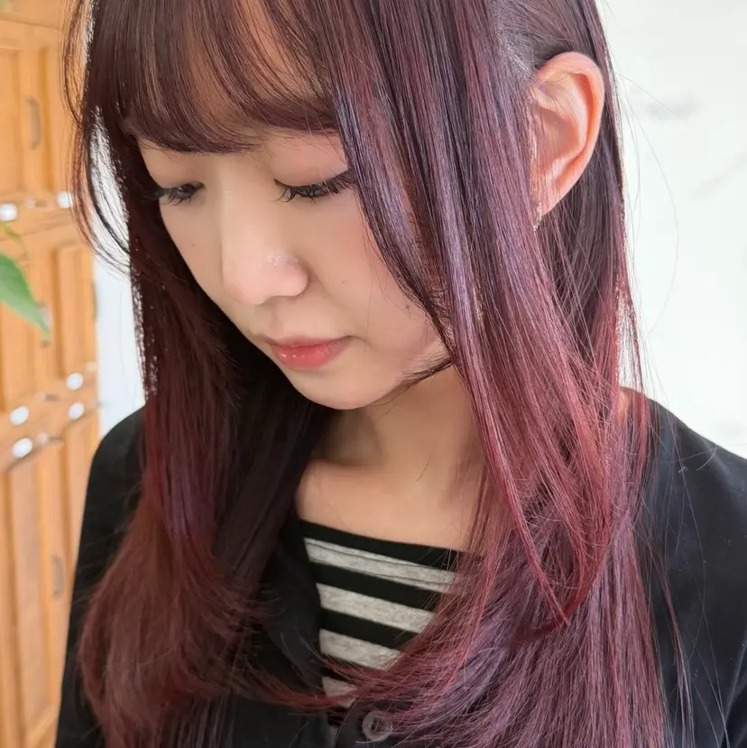 入江 桃花の掲載