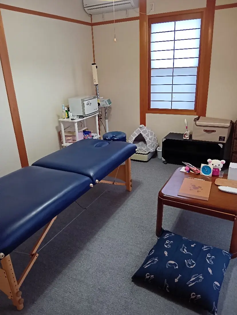 後藤 恵美の掲載