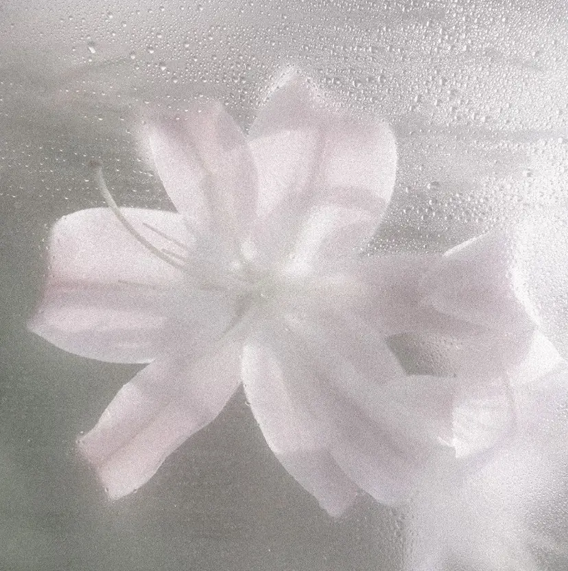 B☆star みゆう🩶の掲載