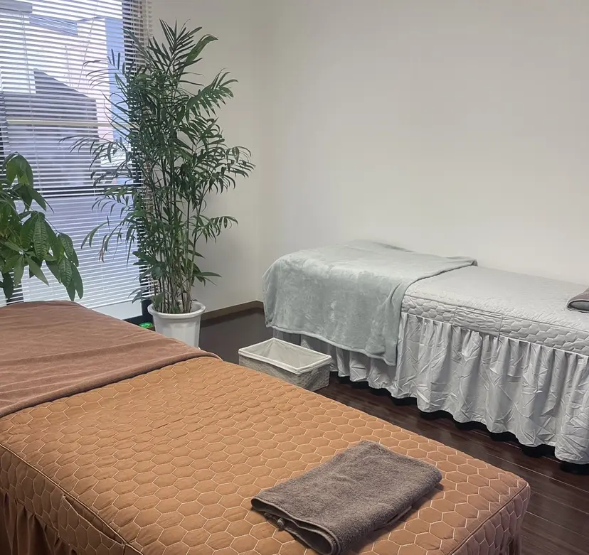 salon HACHI♾の掲載