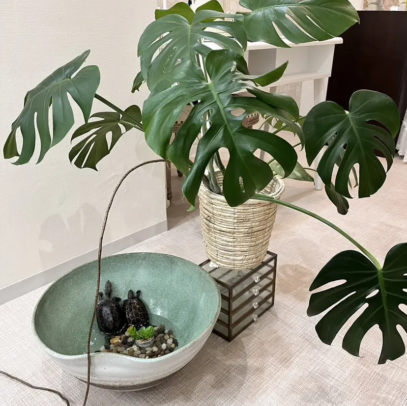 Angela nail💓の掲載