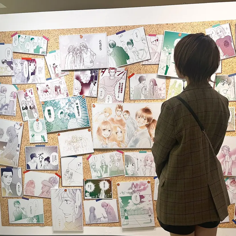 菅谷 琉月の掲載