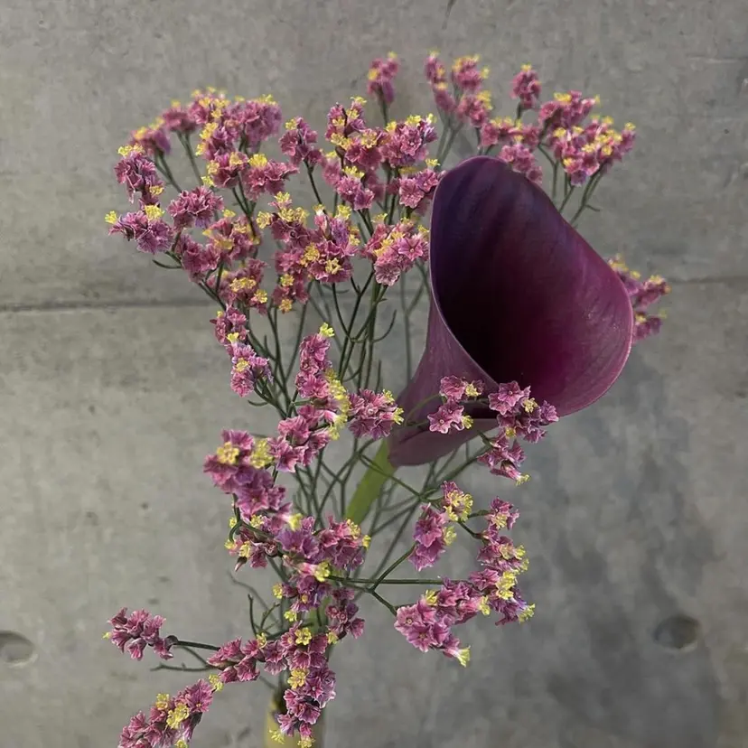 無料レイヤーカット /🎀AKANE🎀の掲載