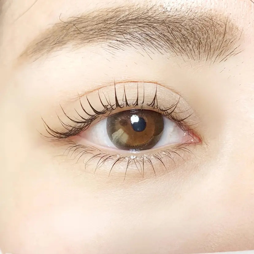 岩間 優子の掲載