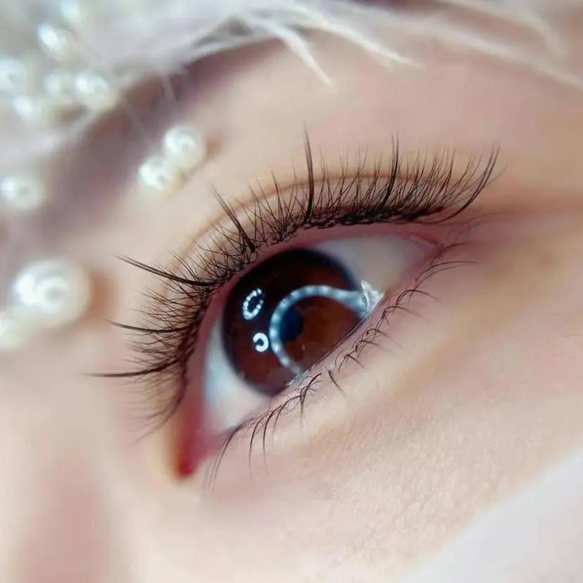 胡蝶蘭レディースサロ ン眉マツパエクステの掲載