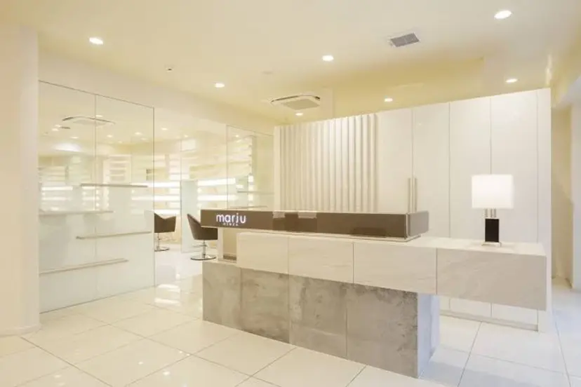 透明感カラー/レイヤ ー/縮毛/暗髪/銀座の掲載