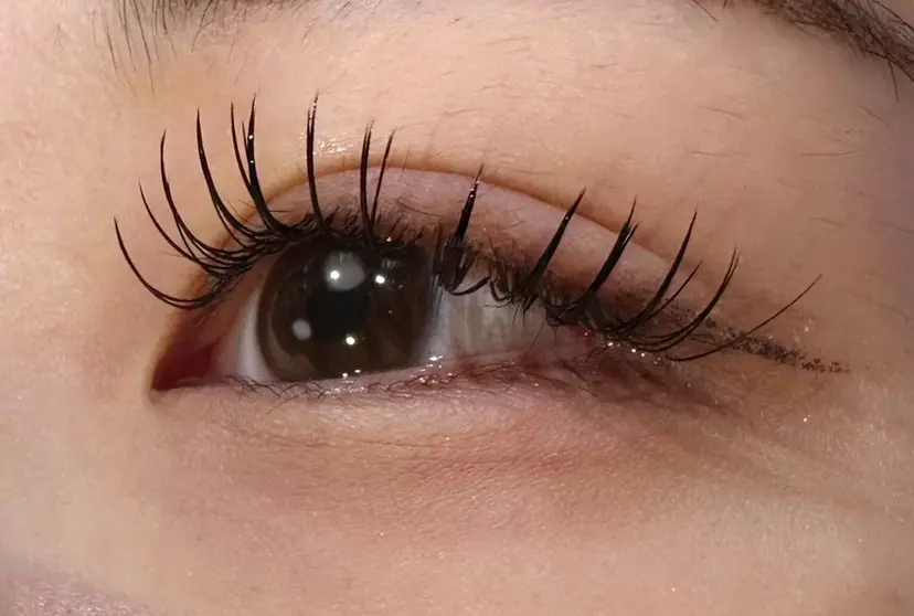 EnBlesS/ otohaの掲載