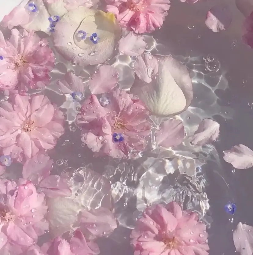 武田 つぐみの掲載