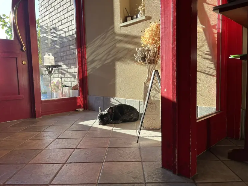 小山 理紗の掲載