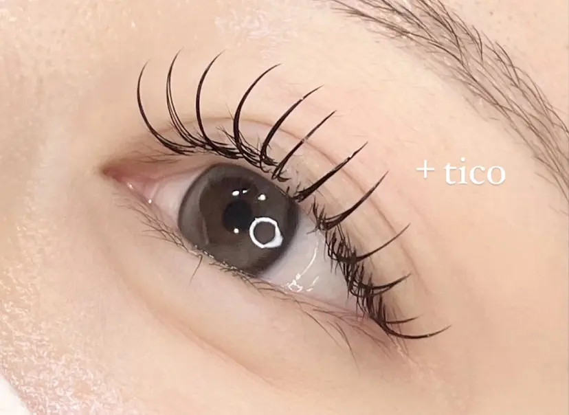 ＋tico _ayanaの掲載