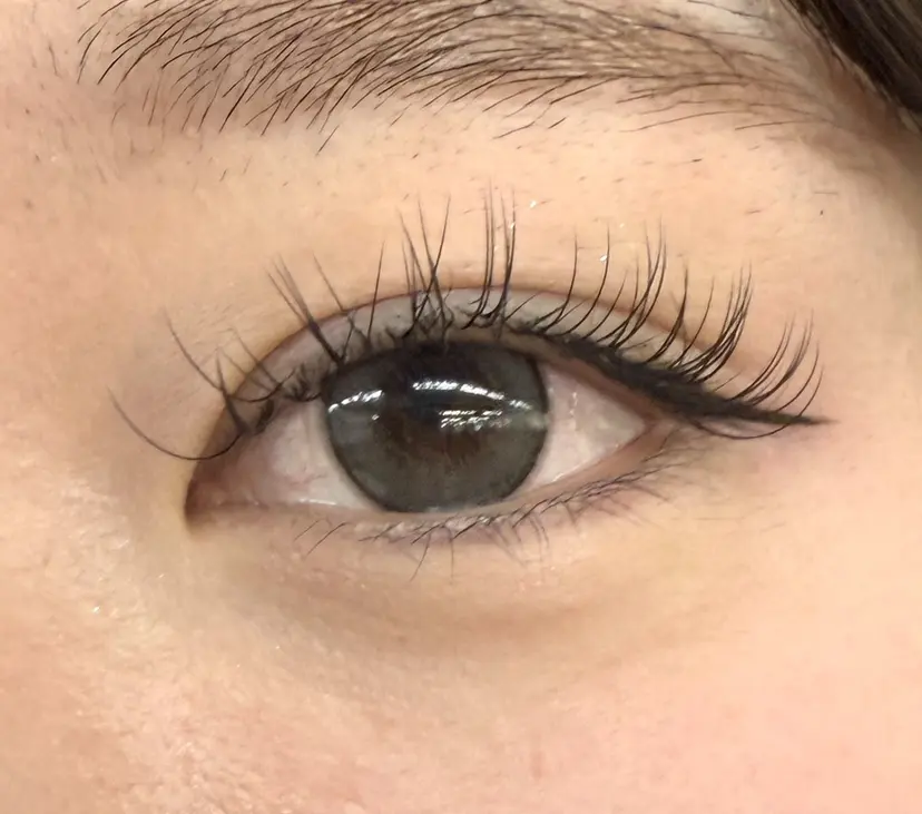 黒本 麻夏の掲載