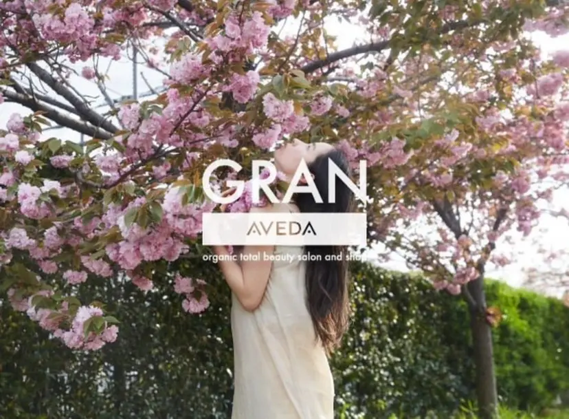 中西 樹人の掲載