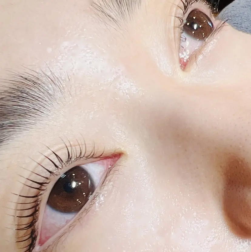 ステラマリス 〜KIMURA〜の掲載