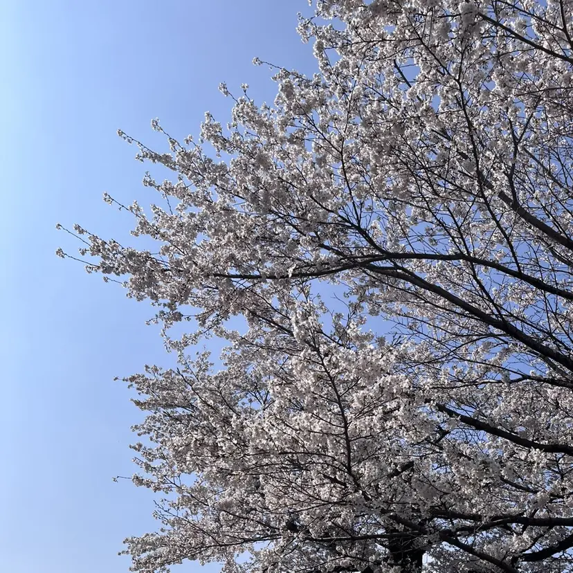 Neolive 銀座 / mioの掲載