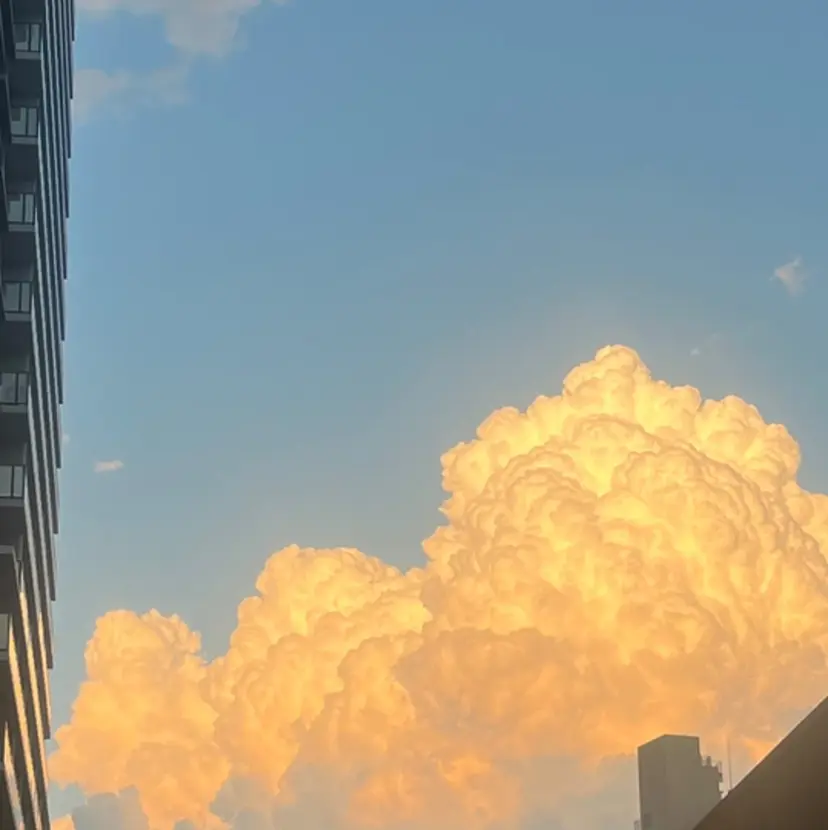 care🎀艶カラー ／Airiの掲載