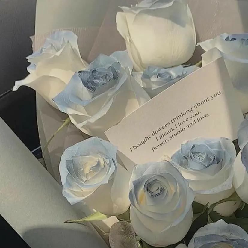 Agapi💐 momoの掲載