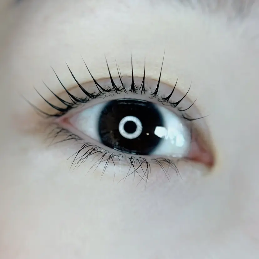 杉山 栄里佳の掲載