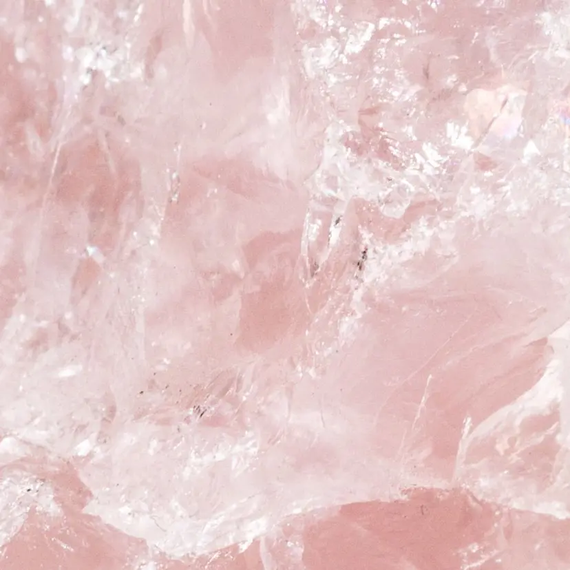 ciena/ Rinaの掲載