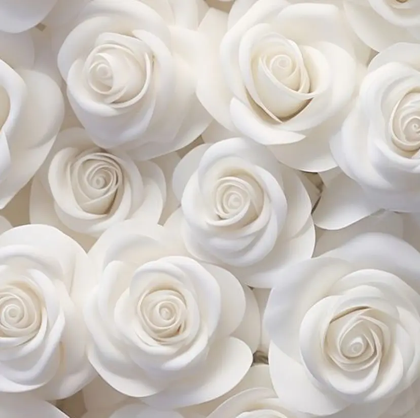 𝐚𝐬𝐚𝐡𝐢 🩶の掲載