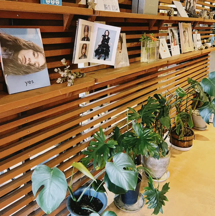 YUI🍊 ボブ/メンズパーマの掲載