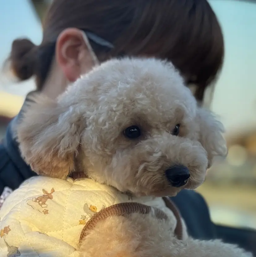 🫧Nonoka/ ストレートパーマ🫧の掲載