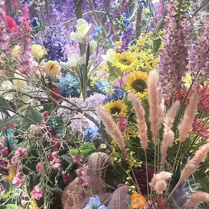 富田 紗世の掲載