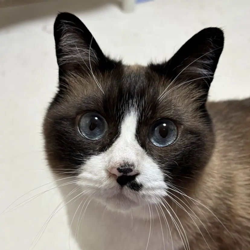 野崎 恵美の掲載