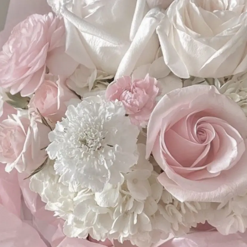 CINQLUXE ひなの掲載