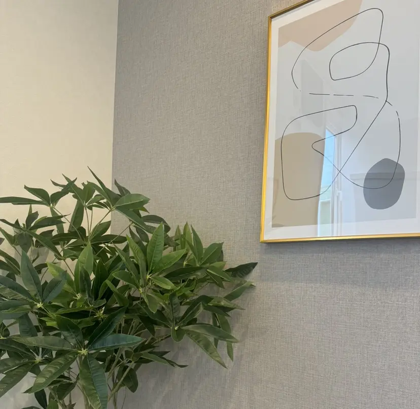 ANELA TSUBAKIの掲載