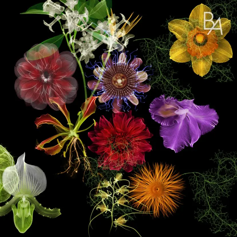 POLA福岡東店 末永の掲載