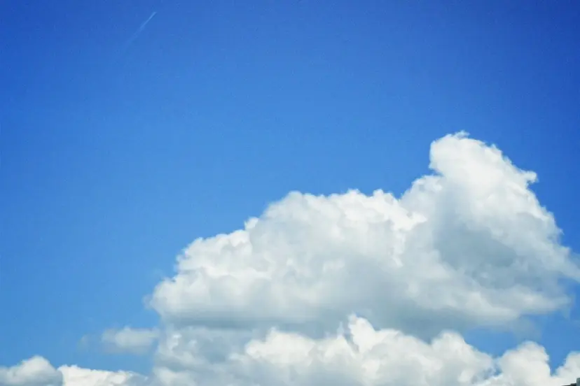 lomilomi 🌺LAULE'Aの掲載