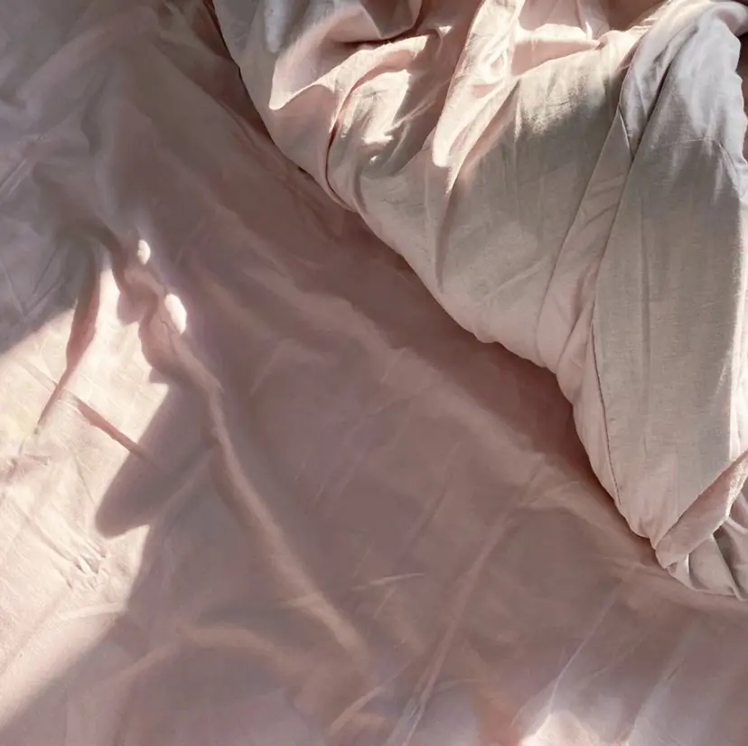 ALBA 札幌|円山の掲載