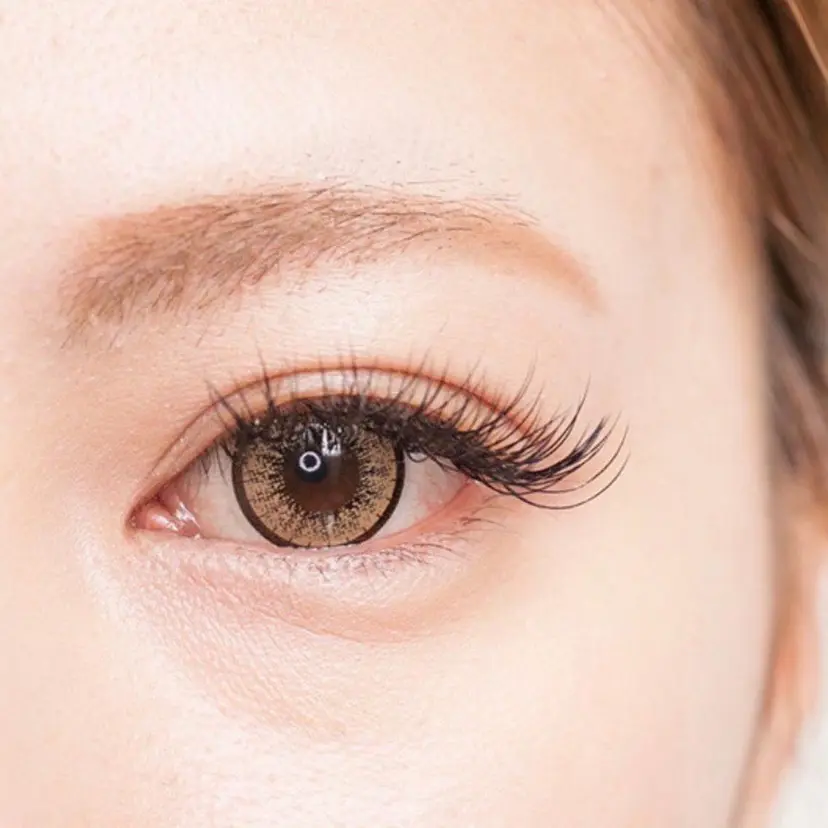 lash tailorの掲載