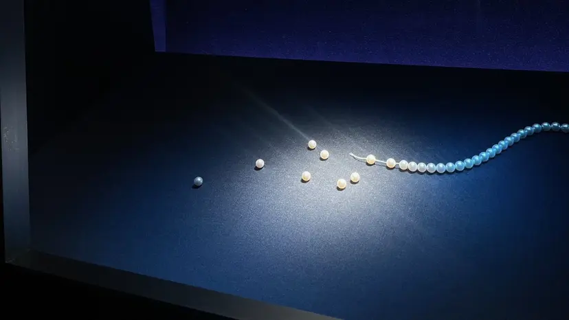 Sae まつぱ/アイブロウの掲載