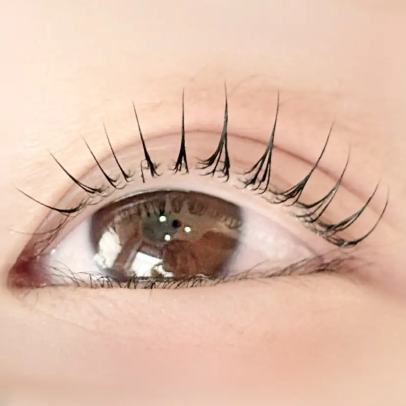 ココテラス eyelashの掲載