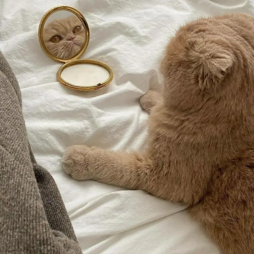 REI/髪質改善/ 透明感カラー/ボブの掲載