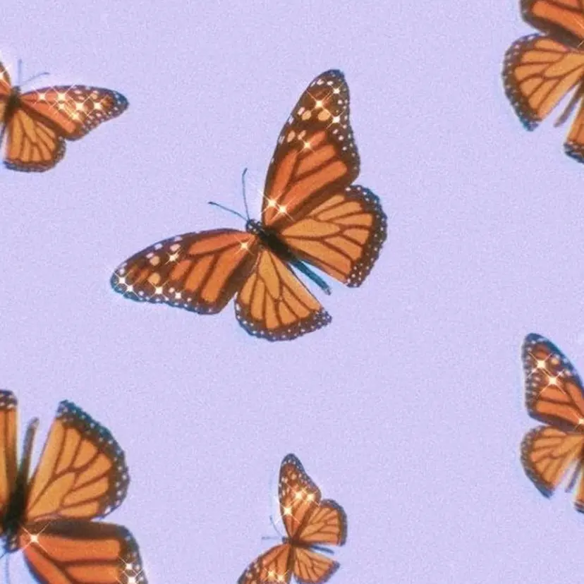 🦄Rena 🦄の掲載