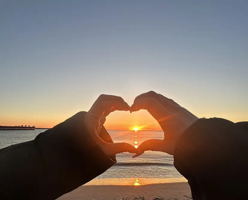 田中 芹菜の掲載