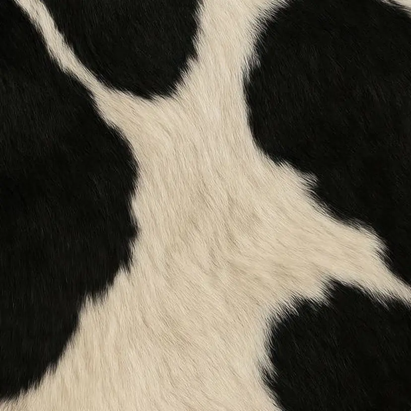 fameu / hinaの掲載