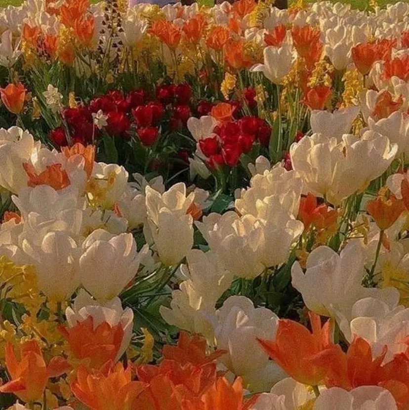 Ma2Ri /ゆるふわ暖色カラーの掲載