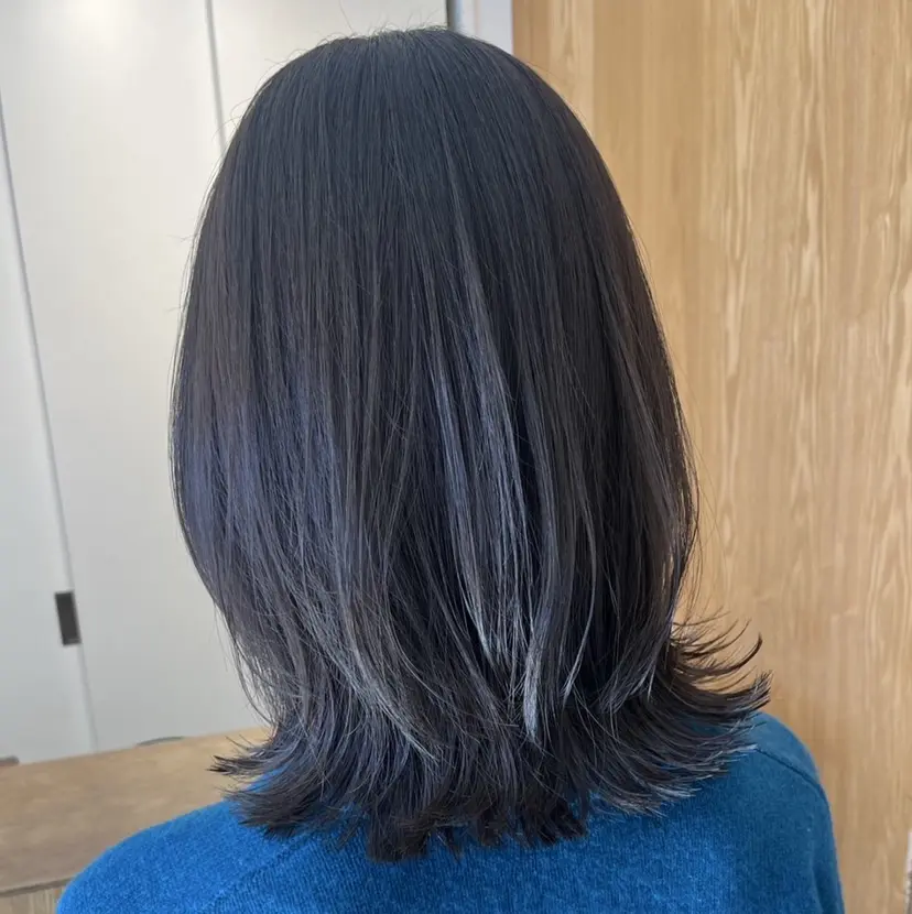 庄司 木綿の掲載