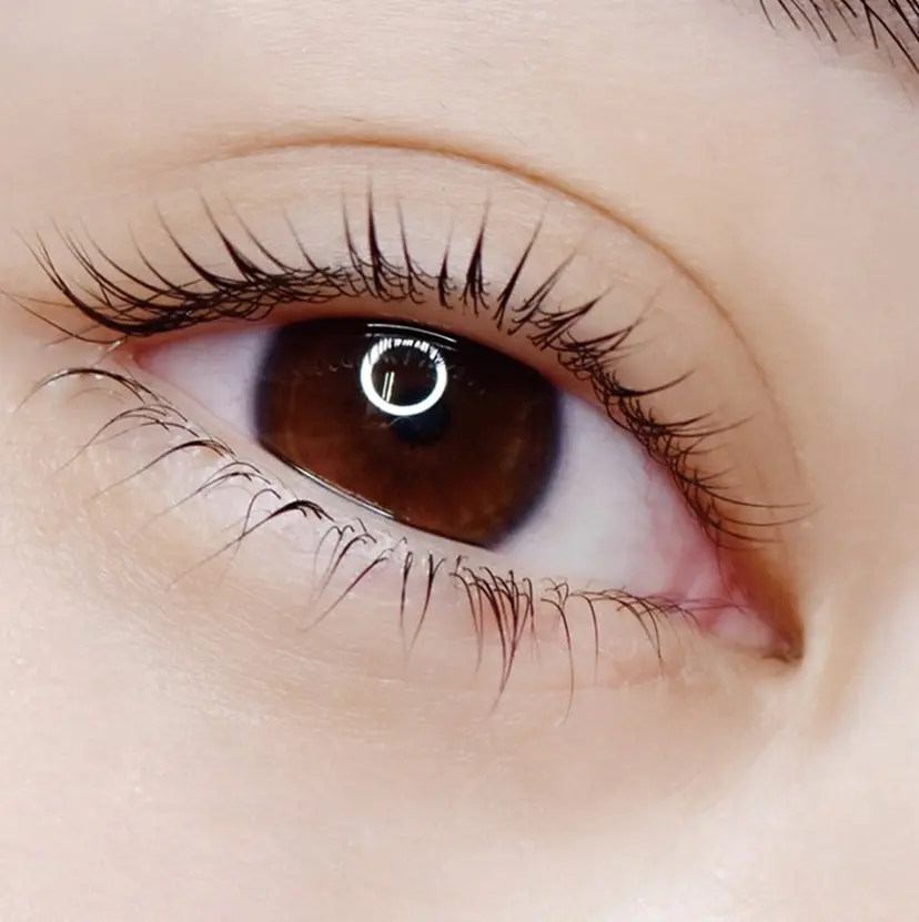 佐藤 悦子の掲載