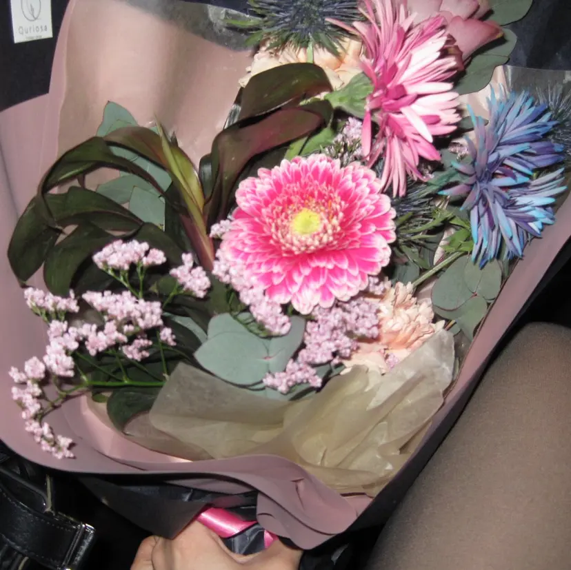 cocoro /lolonoisの掲載